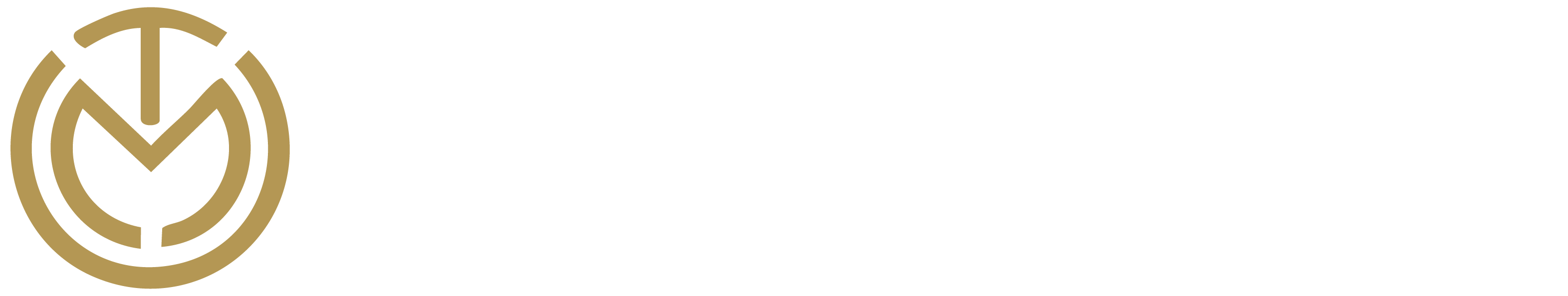 TalentMatched Logo White